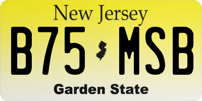 NJ license plate B75MSB