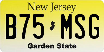 NJ license plate B75MSG