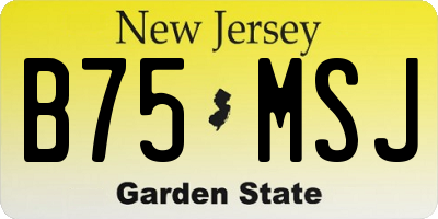 NJ license plate B75MSJ