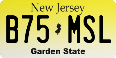 NJ license plate B75MSL