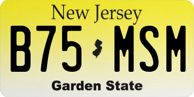 NJ license plate B75MSM