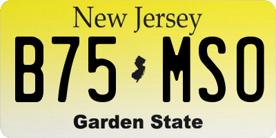 NJ license plate B75MSO
