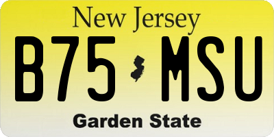 NJ license plate B75MSU