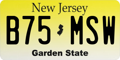 NJ license plate B75MSW