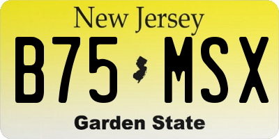 NJ license plate B75MSX