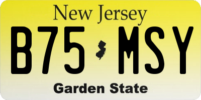NJ license plate B75MSY