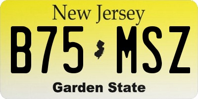 NJ license plate B75MSZ