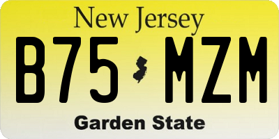 NJ license plate B75MZM