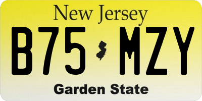 NJ license plate B75MZY