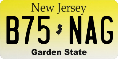 NJ license plate B75NAG