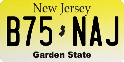 NJ license plate B75NAJ