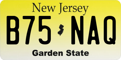 NJ license plate B75NAQ