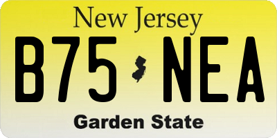 NJ license plate B75NEA