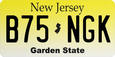 NJ license plate B75NGK