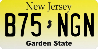 NJ license plate B75NGN
