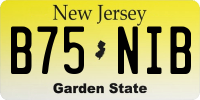 NJ license plate B75NIB