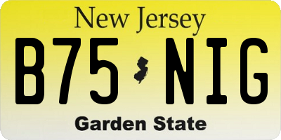 NJ license plate B75NIG