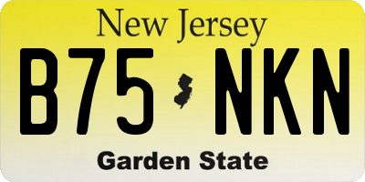 NJ license plate B75NKN