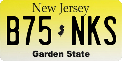 NJ license plate B75NKS