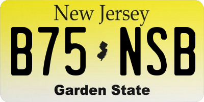NJ license plate B75NSB