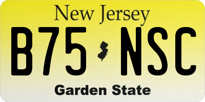 NJ license plate B75NSC