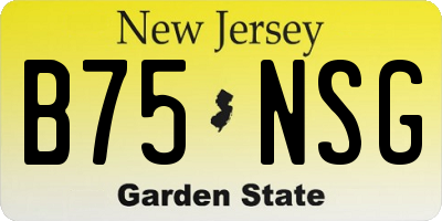 NJ license plate B75NSG
