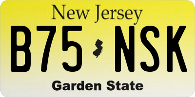 NJ license plate B75NSK