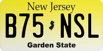 NJ license plate B75NSL