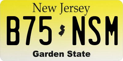NJ license plate B75NSM