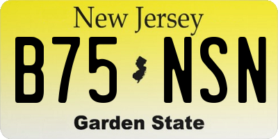 NJ license plate B75NSN