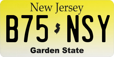 NJ license plate B75NSY