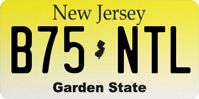 NJ license plate B75NTL