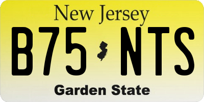NJ license plate B75NTS