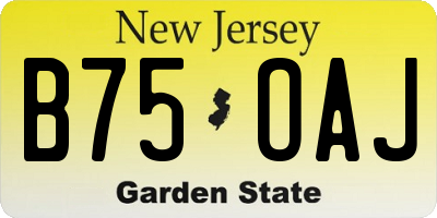 NJ license plate B75OAJ