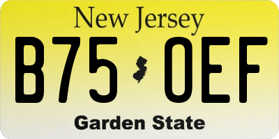 NJ license plate B75OEF