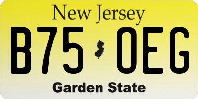 NJ license plate B75OEG