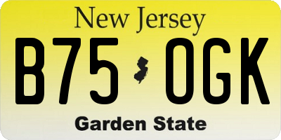 NJ license plate B75OGK