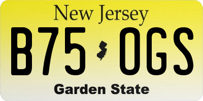 NJ license plate B75OGS