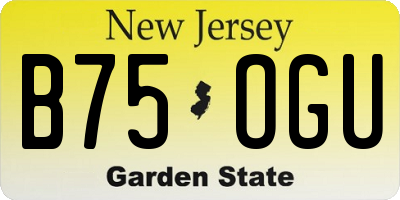NJ license plate B75OGU