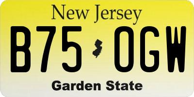 NJ license plate B75OGW