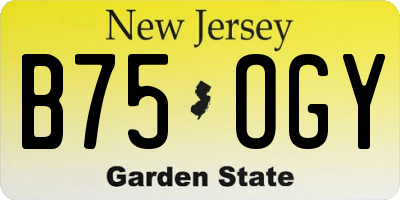 NJ license plate B75OGY