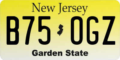 NJ license plate B75OGZ