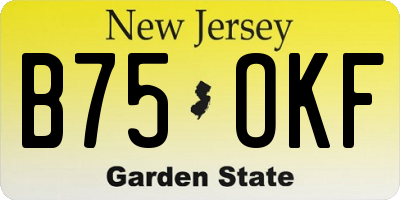 NJ license plate B75OKF