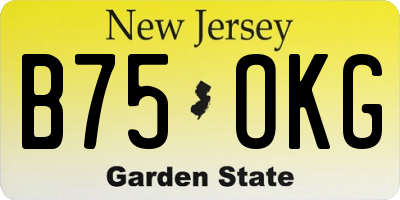 NJ license plate B75OKG