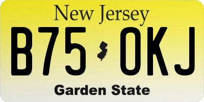 NJ license plate B75OKJ