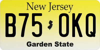 NJ license plate B75OKQ