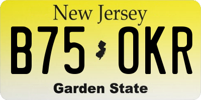 NJ license plate B75OKR