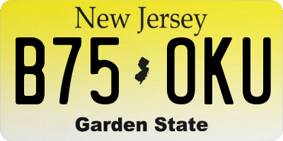 NJ license plate B75OKU
