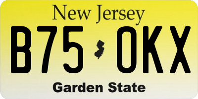 NJ license plate B75OKX