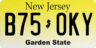 NJ license plate B75OKY